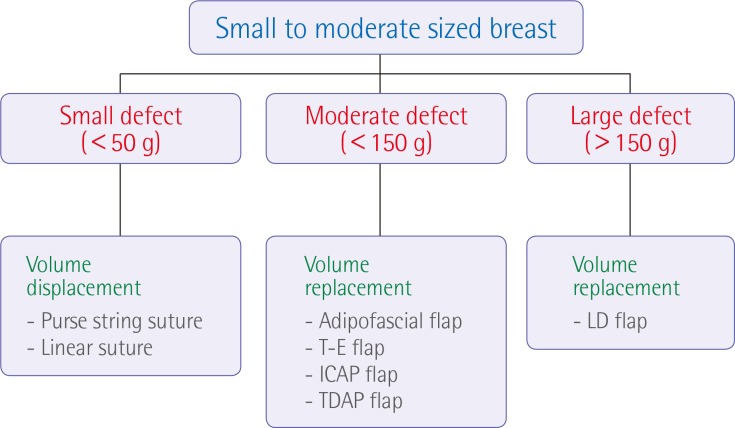ONCOPLASTIC BREAST CONSERVING SURGERY - SURGICAL TECHNIQUES